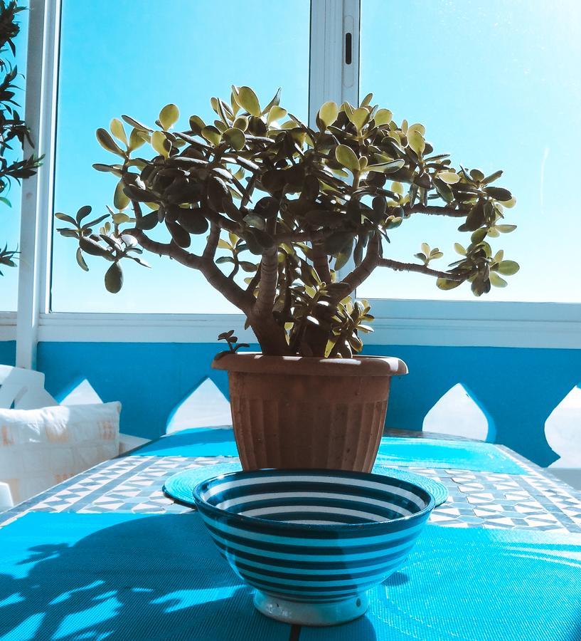 Surf & Yoga Paradise Morocco Hostel Tamraght Ou Fella Exterior photo